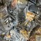 Mystery Bulk Wholesale Lot of Metal Charms & Metal Findings and Components